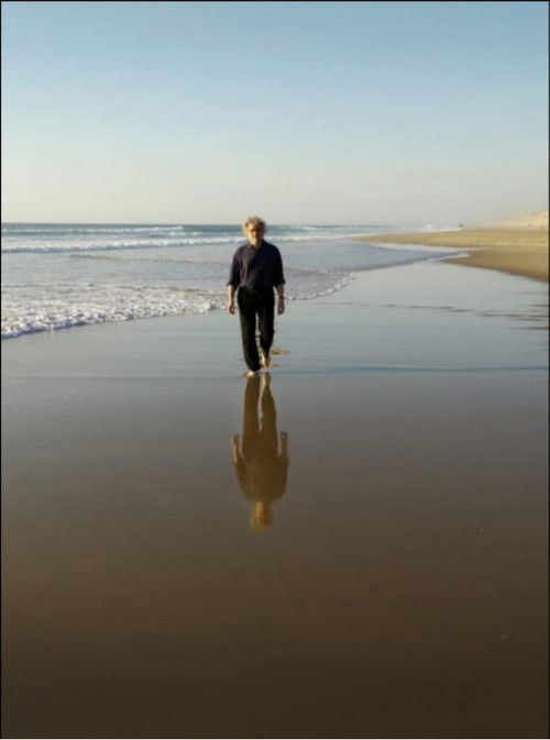 Movie poster for The Longing of Michael Dudok de Wit (2016)
