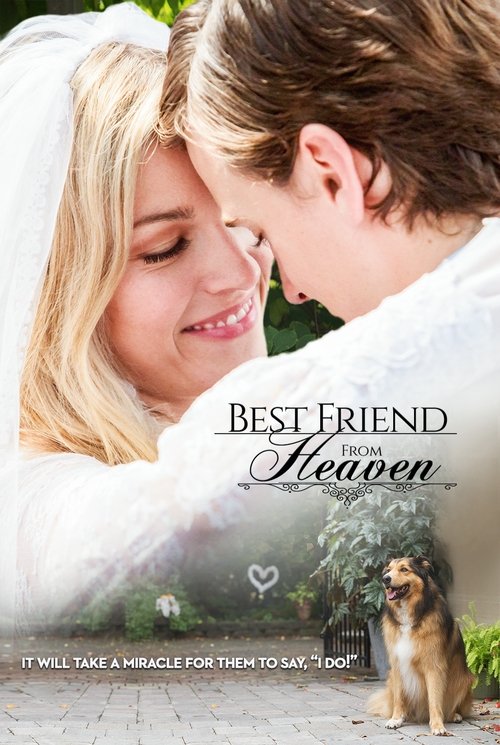 Movie poster for Best Friend from Heaven (2017)