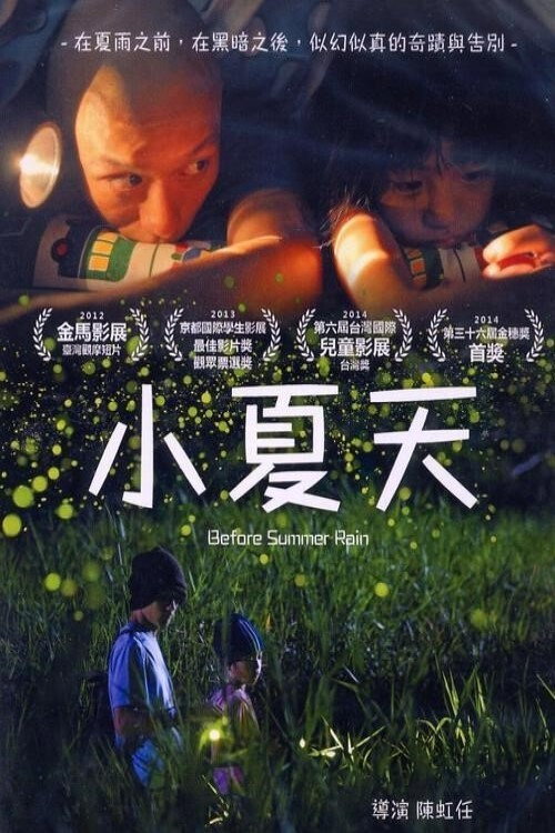 Movie poster for Before Summer Rain (2012)