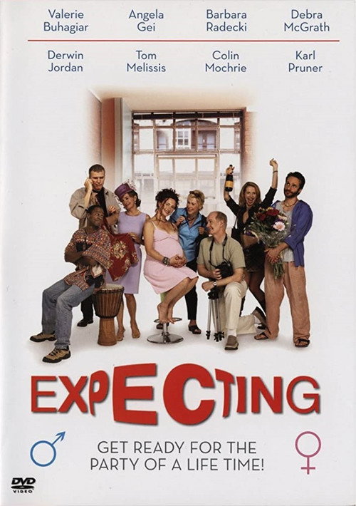 Movie poster for Expecting (2002)