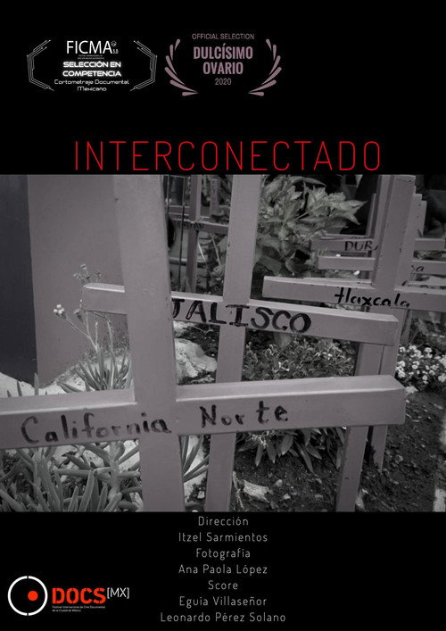 Movie poster for Interconectado (2019)