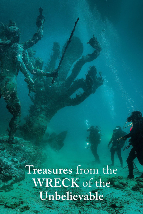 Movie poster for Treasures from the Wreck of the Unbelievable (2017)