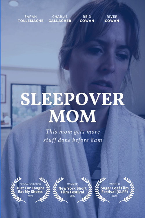 Movie poster for SLEEPOVER MOM