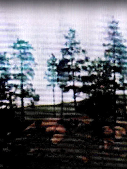 Movie poster for DREAMING (2024)