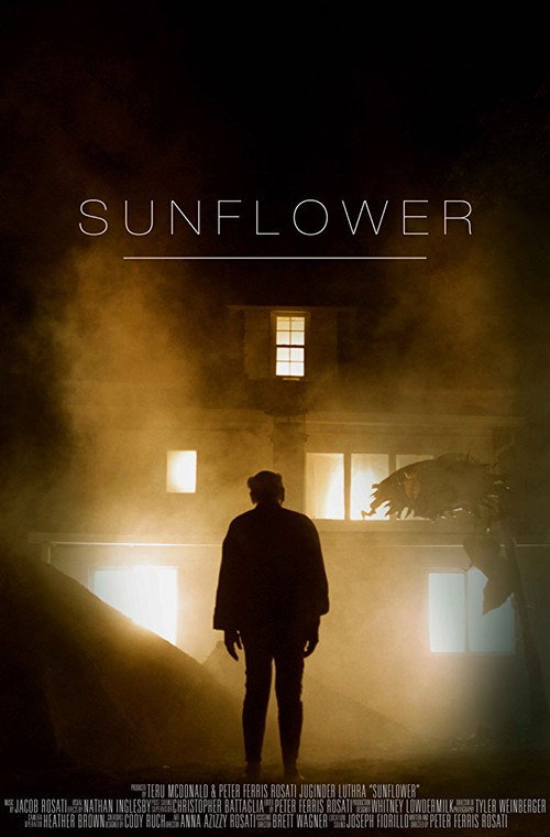 Movie poster for Sunflower (2016)