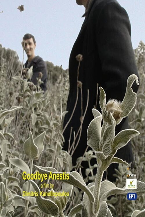 Movie poster for Γειά σου Ανέστη (2001)