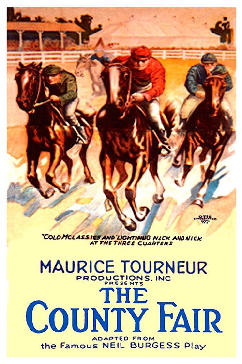Movie poster for The County Fair (1920)