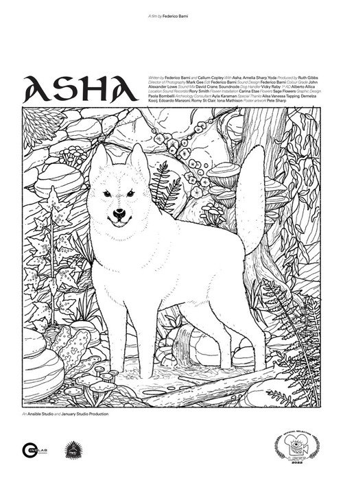 Movie poster for Asha (2021)