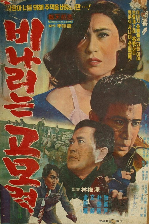 Movie poster for Rainy Gomoryeong Hill (1969)