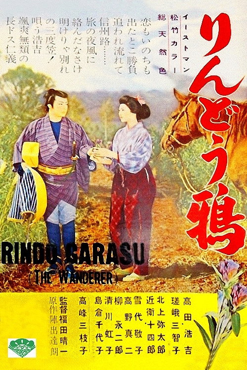Movie poster for The Wanderer (1957)