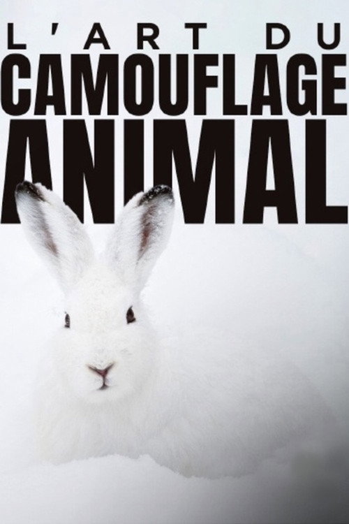 Movie poster for L'art du camouflage animal (2022)