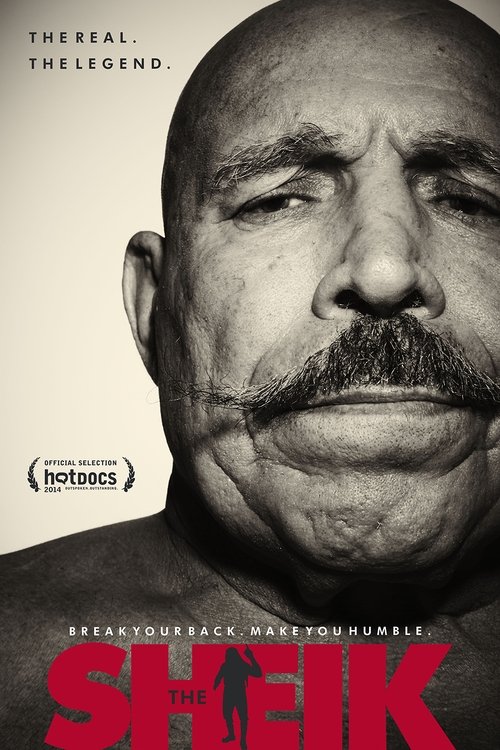 Movie poster for The Sheik (2014)