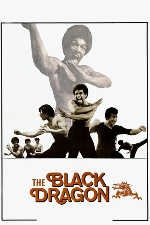 Movie poster for The Black Dragon (1974)