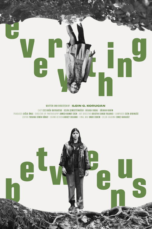 Movie poster for Everything Between Us (2025)