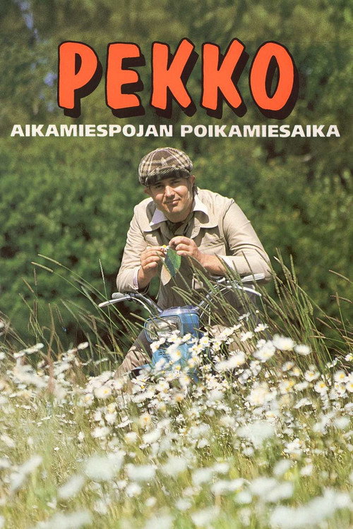 Movie poster for Pekko aikamiespojan poikamiesaika (1993)