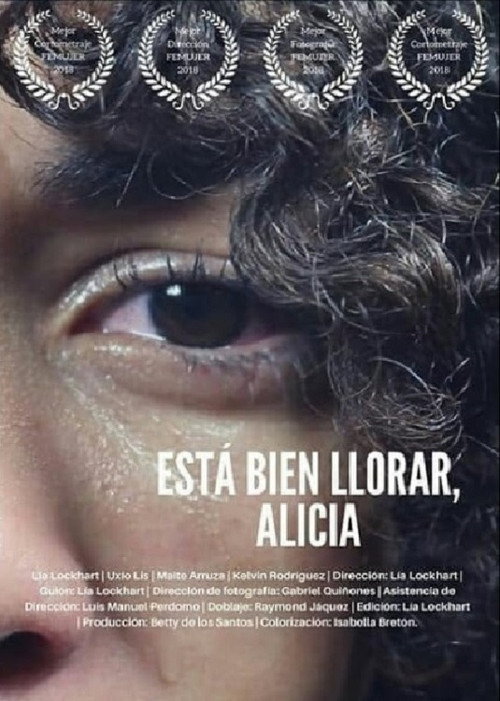 Movie poster for Está bien llorar, Alicia (2018)