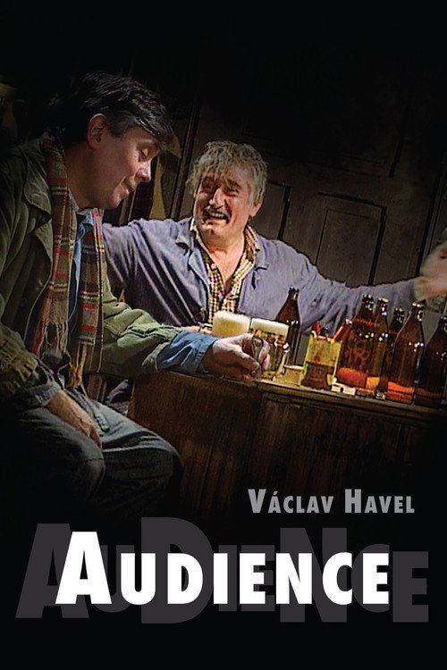 Movie poster for Audience (1990)