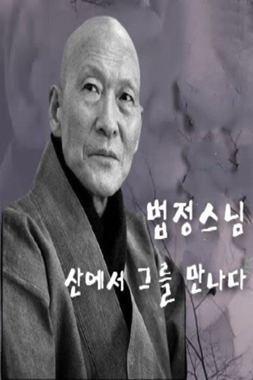 Movie poster for Monk Beopjeong, Meet Him in The Mountains (2003)