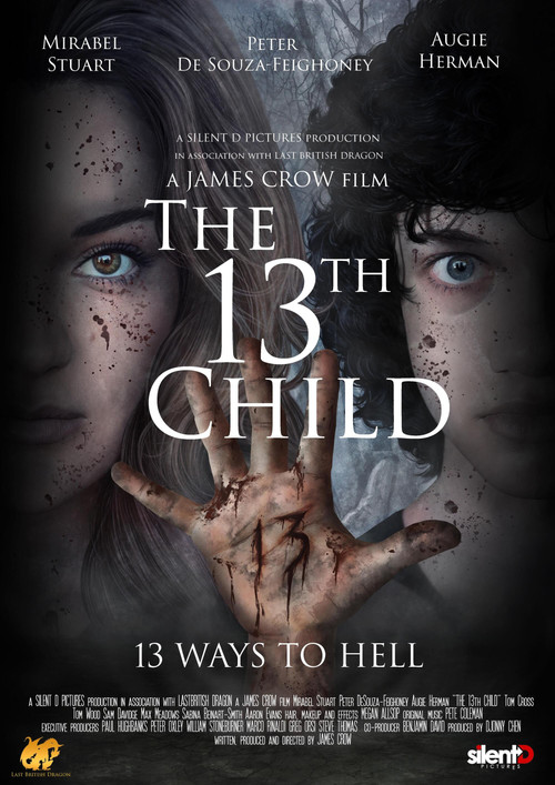 Movie poster for The 13th Child