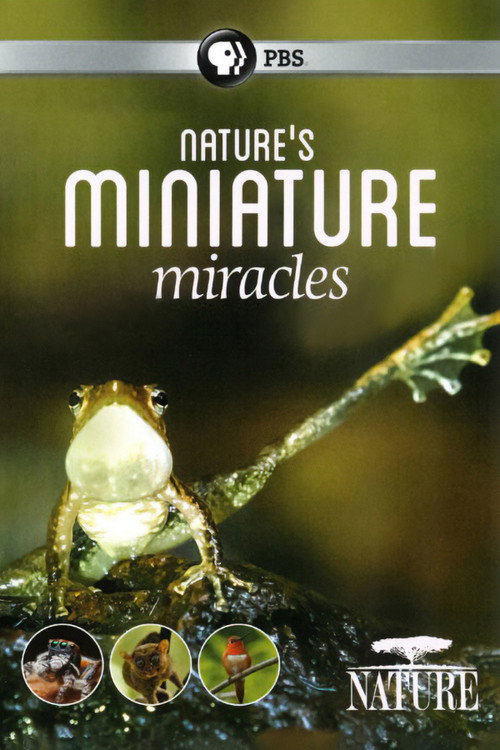 Movie poster for Nature's Miniature Miracles (2017)