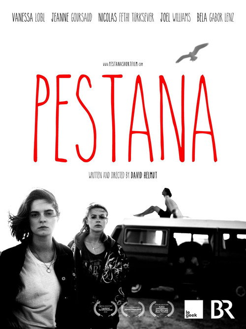 Movie poster for Pestana (2017)