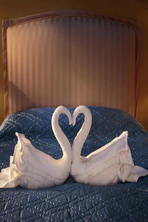 Movie poster for Swan Song (2014)