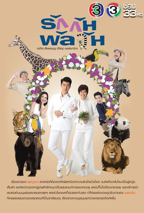 Confusedly In Love poster