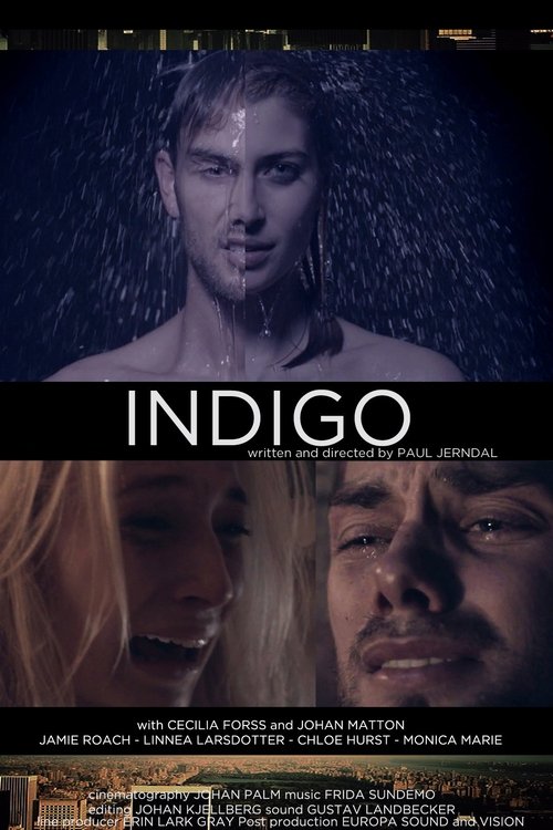 Movie poster for Indigo (2014)