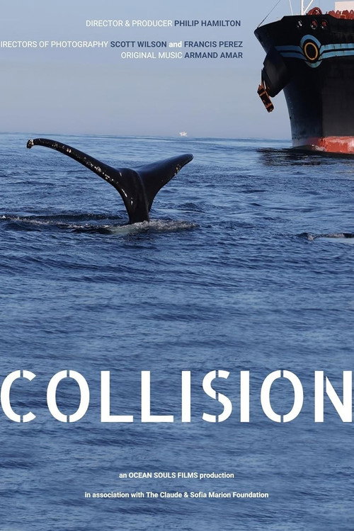 Movie poster for Collision (2023)