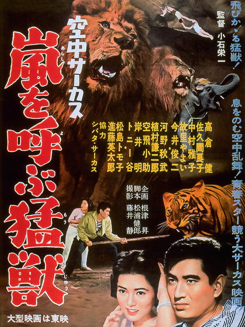 Movie poster for Midair Circus (1958)
