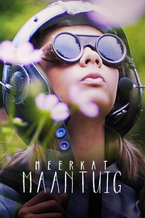 Movie poster for Meerkat Moonship (2018)