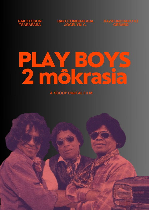 Movie poster for Play Boys 2 (2009)