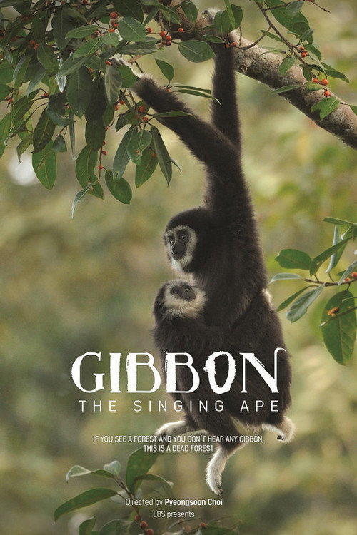 Movie poster for The Singing Ape, Gibbon (2017)