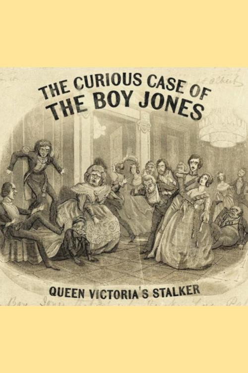 Movie poster for The Curious Case Of The Boy Jones (2021)