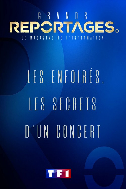 Movie poster for Les Enfoirés, les secrets d'un concert (2020)