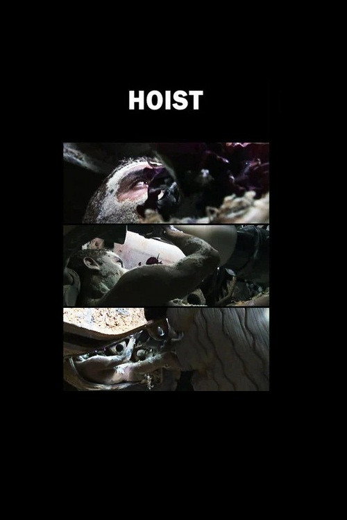 Movie poster for Hoist (2006)