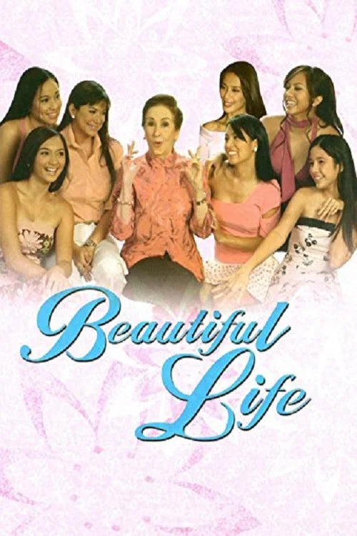 Movie poster for Beautiful Life (2004)