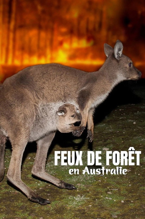 Movie poster for Bushfire Animal Rescue (2020)