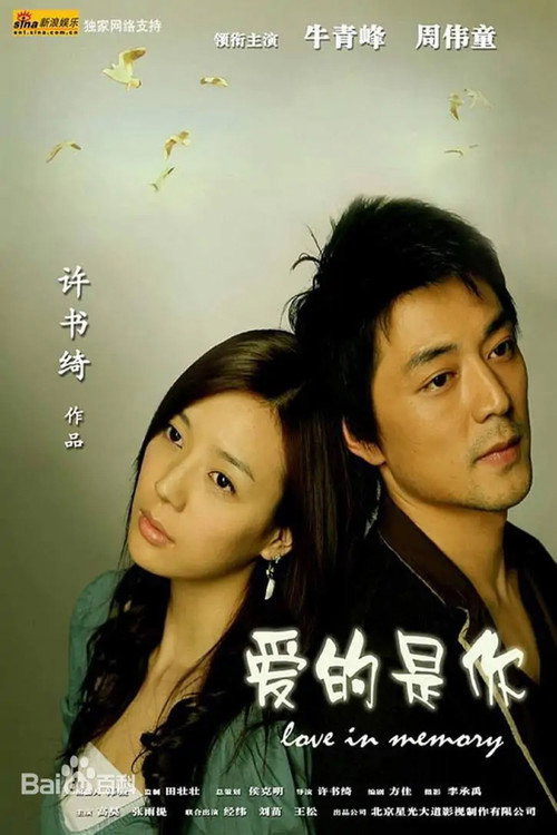 Movie poster for 爱的是你 (2006)