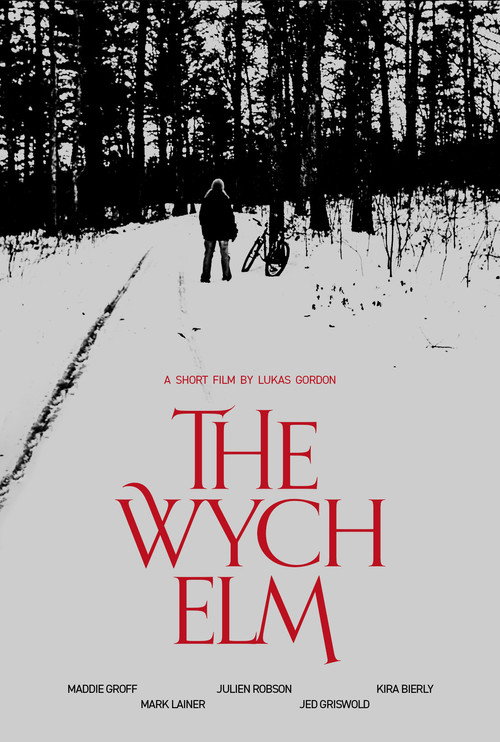 Movie poster for The Wych Elm (2022)