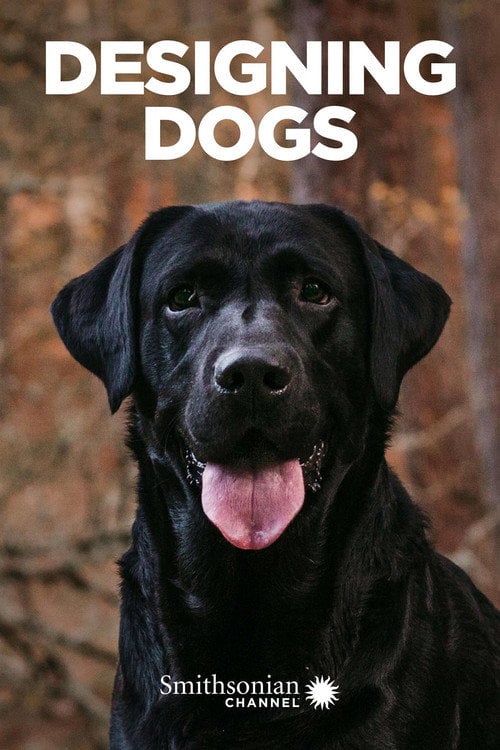 Movie poster for Designing Dogs (2007)