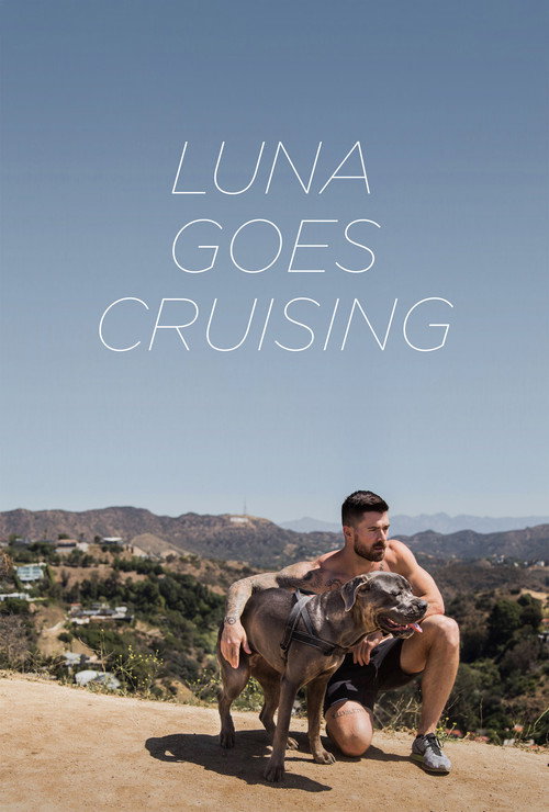 Movie poster for Luna Goes Cruising (2015)
