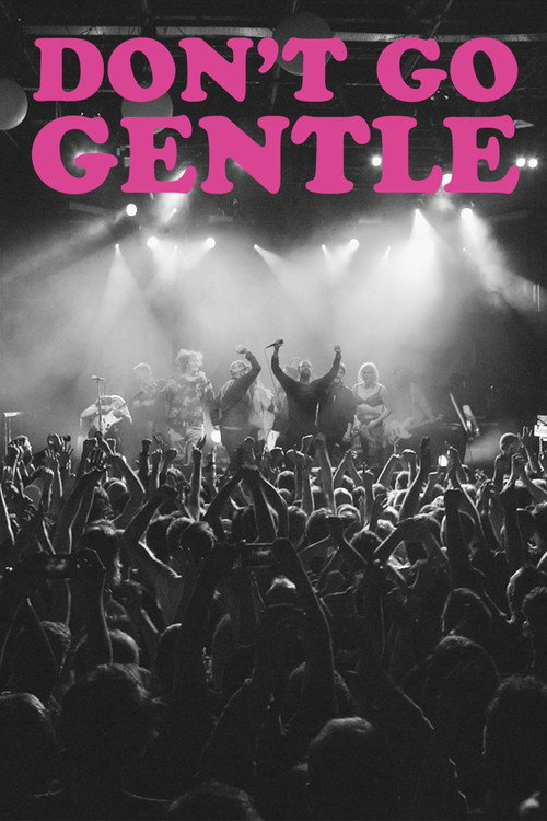 Movie poster for Don't Go Gentle: A Film About IDLES (2020)