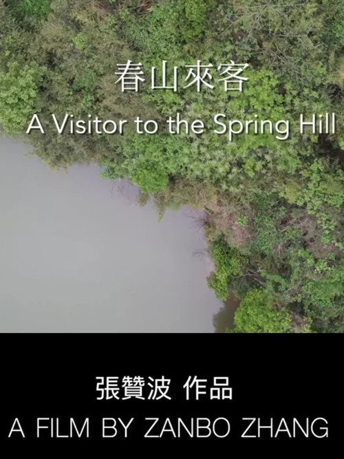 Movie poster for A Visitor to the Spring Hill (2024)