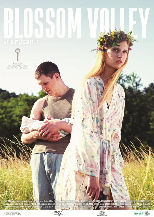 Movie poster for Blossom Valley (2018)
