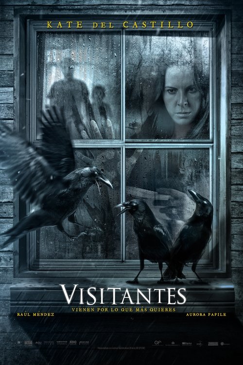 Movie poster for Visitors (2014)