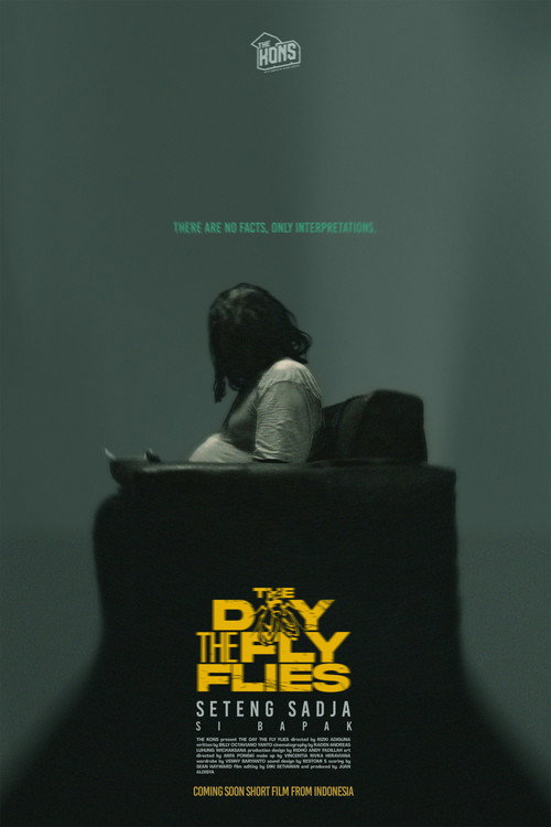 Movie poster for The Day The Fly Flies (2024)