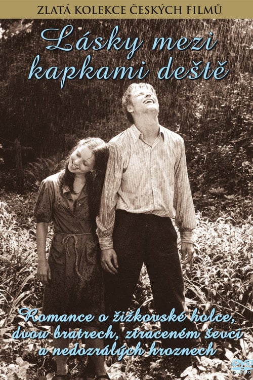 Movie poster for Love Between the Raindrops (1980)