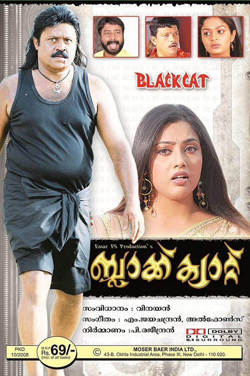 Movie poster for Black Cat (2007)