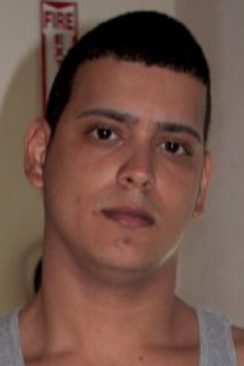 Photo of Luis Raphael, Acting